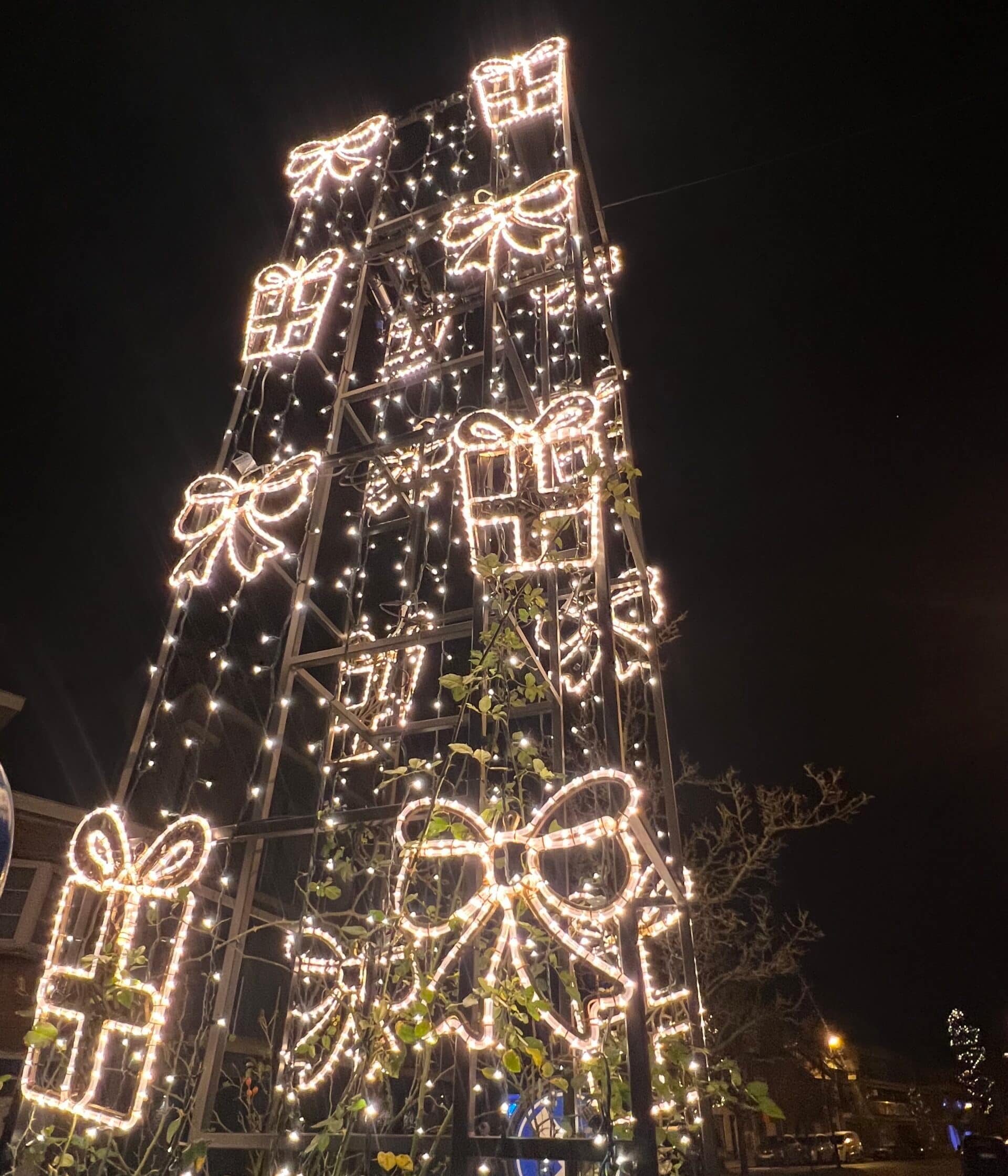 Cropped IMG 6363 Scaled 1