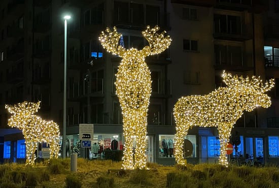 who-we-are-img Cropped Cropped IMG 1291 2